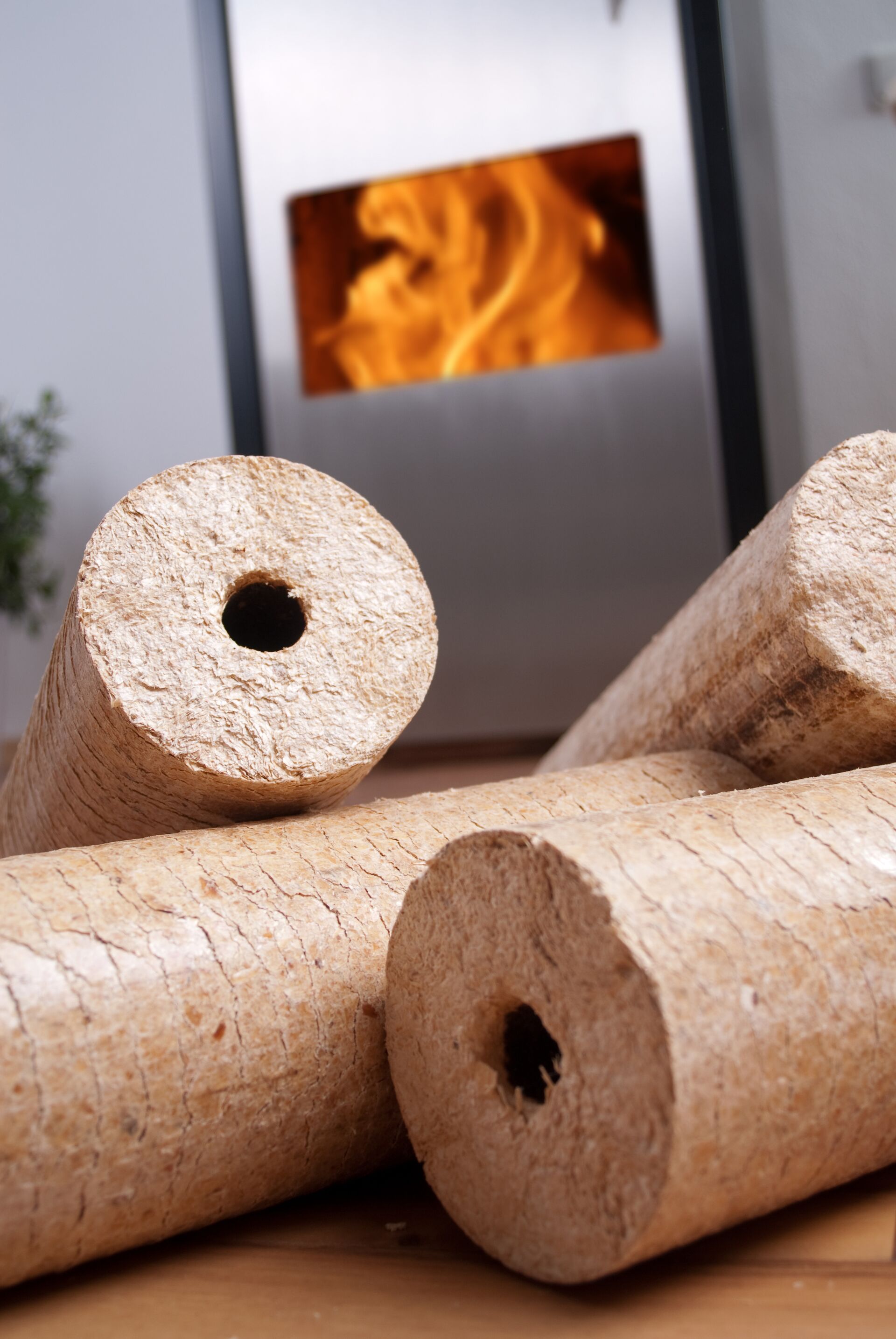 Briketts kaufen? Lieferant für Holzbriketts in Sachsen, Brandenburg & Thüringen!