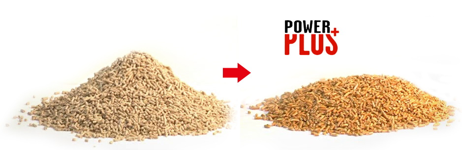 Hellmuth Energie - Ihre Fachberater für Premium Pellets aus Deutschland